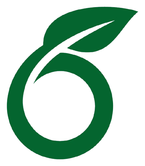 Overleaf